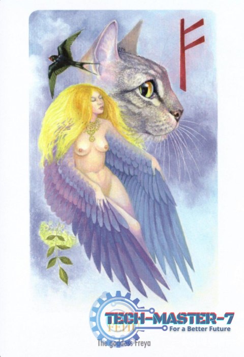Karty Tarot Rune Vision Cards GB Karty Tarot Rune Vision Cards GB