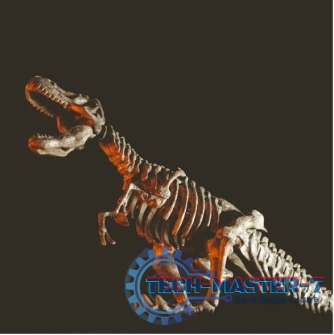Zestaw naukowy Crazy science Smoki i dinozaury Zestaw naukowy Crazy science Smoki i dinozaury