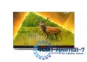 Telewizor 55 cali MINI LED 55PML9308/12 Telewizor 55 cali MINI LED 55PML9308/12
